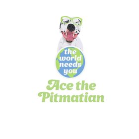 Ace the Pitmatian Co