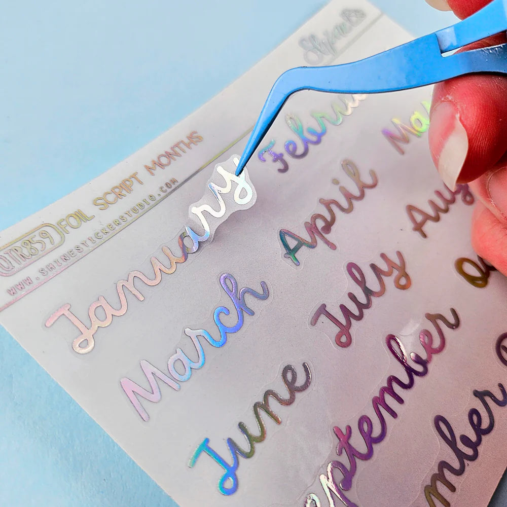 Scrolling Cursive Date Date Covers: Months Of The Year | Cursive | Holo Foil – Favourite ...